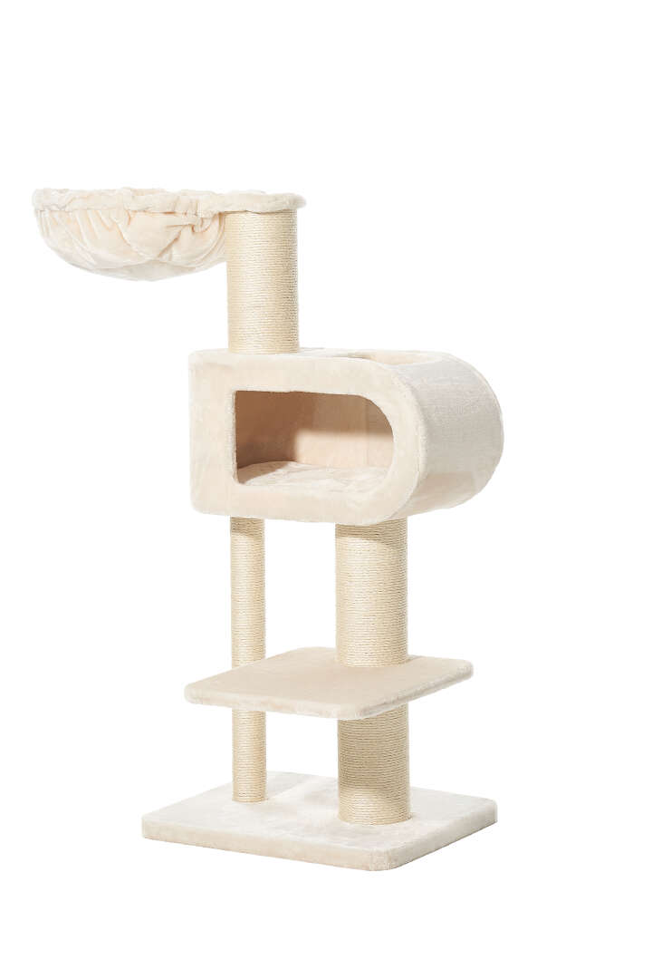 Nobby Kratzbaum Tove